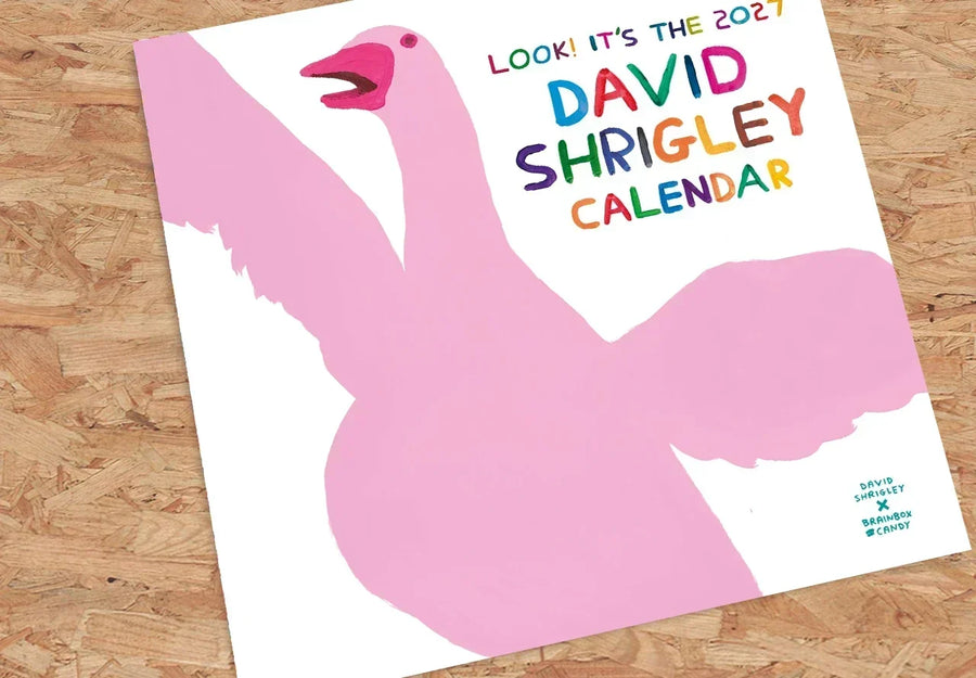 David Shrigley wall calendar 2027