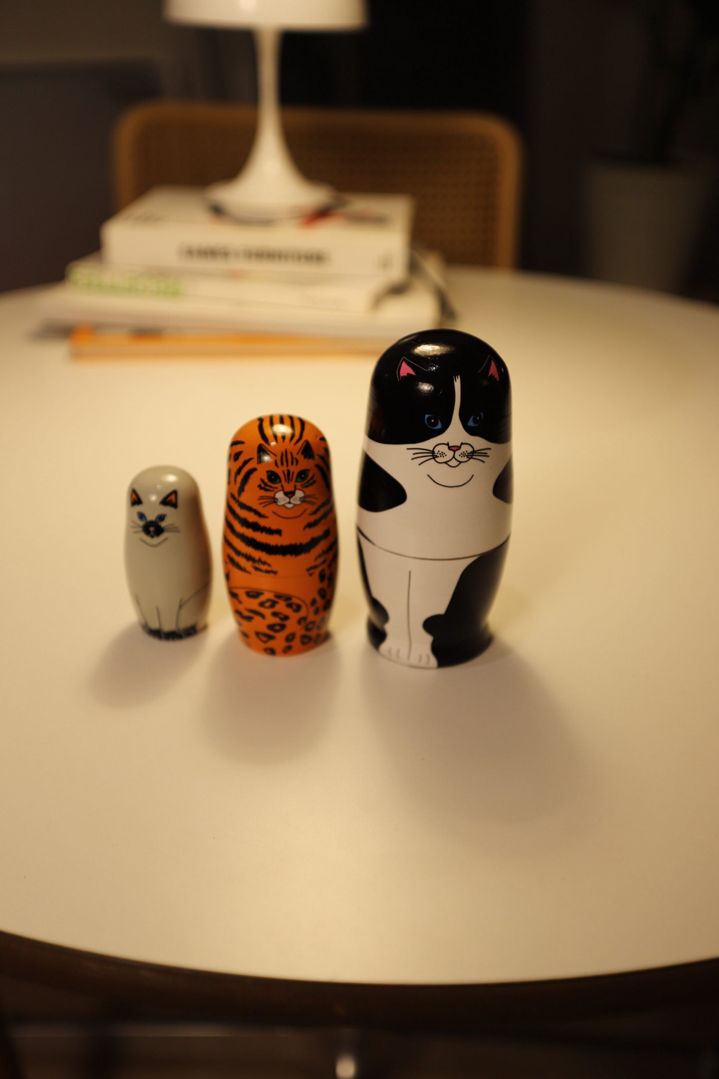 Feline 5