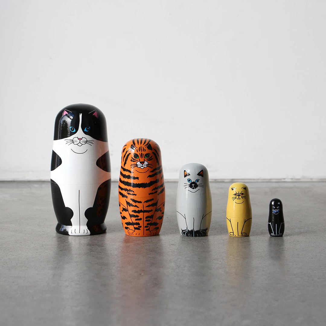Feline 5